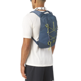 SALOMON backpack XT 10 spellbound/grisaille/bright chartre