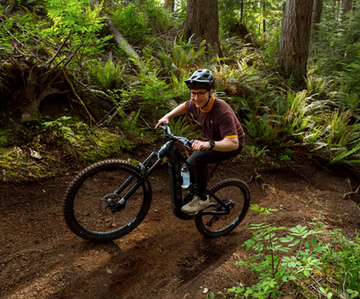 Marin Alpine Trail E1 - 2026