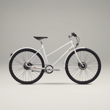 Siech Cycles 8 Speed Lady Motion Bike