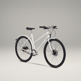 Siech Cycles 8 Speed Lady Motion Bike