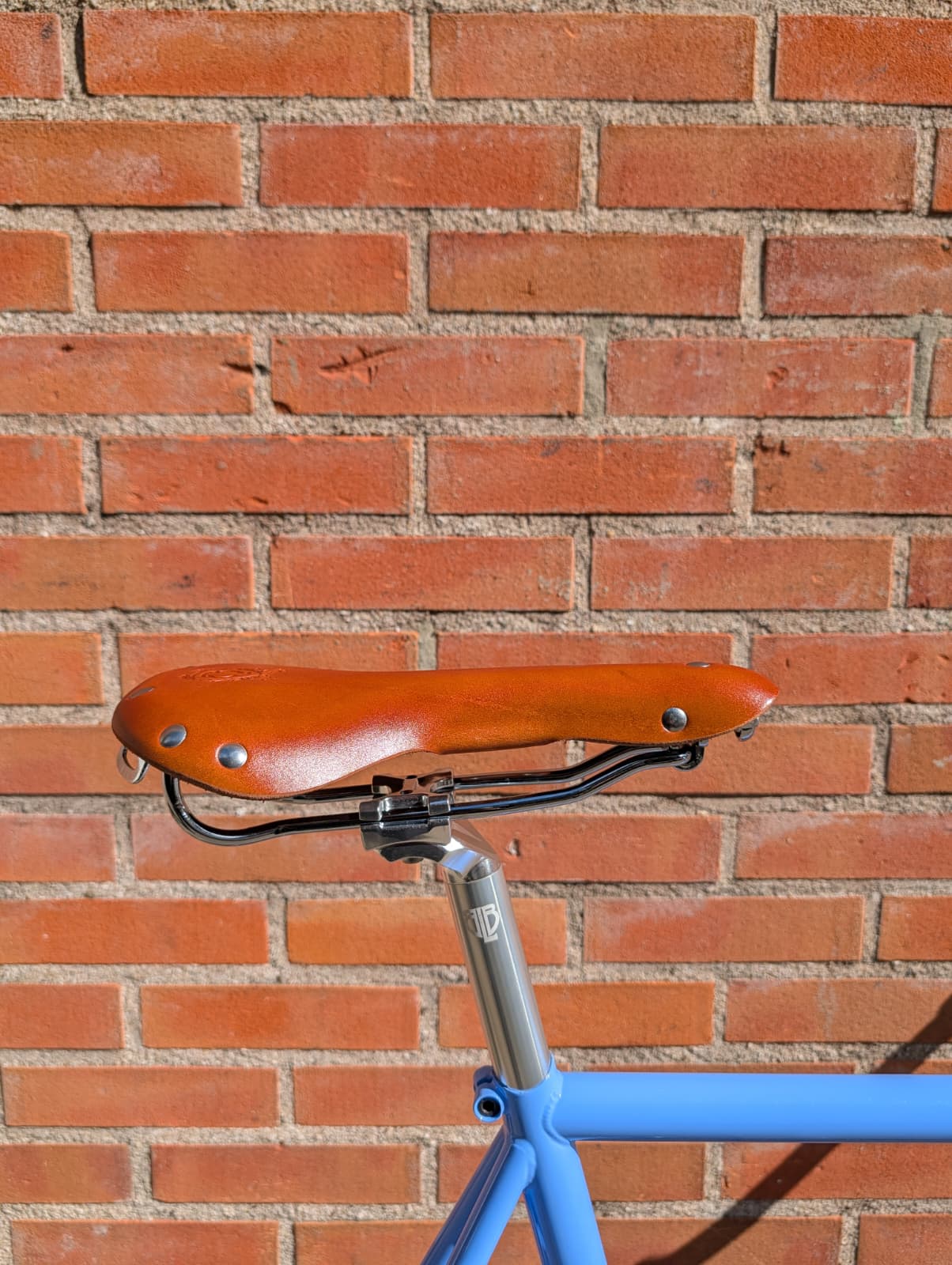 Custom built fixie with Focale 44 Noble frame set