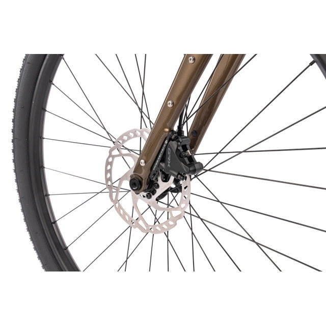 Bombtrack Audax - 2024