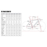 Cervelo R5 Ultegra Di2 - 2025