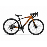 Bemoov R24