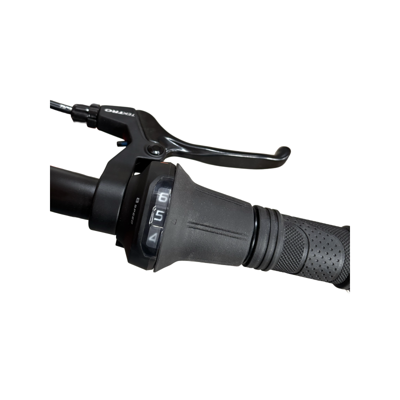 Bemoov CLT20