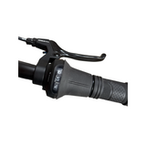 Bemoov CLT20