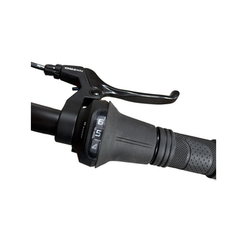 Bemoov CLT20