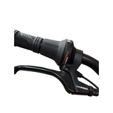 Bemoov CLT24
