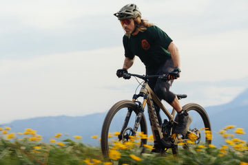 Pivot Trailcat LT Team XX Eagle Transmission