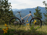 Pivot Trailcat LT Pro X0 Eagle Transmission