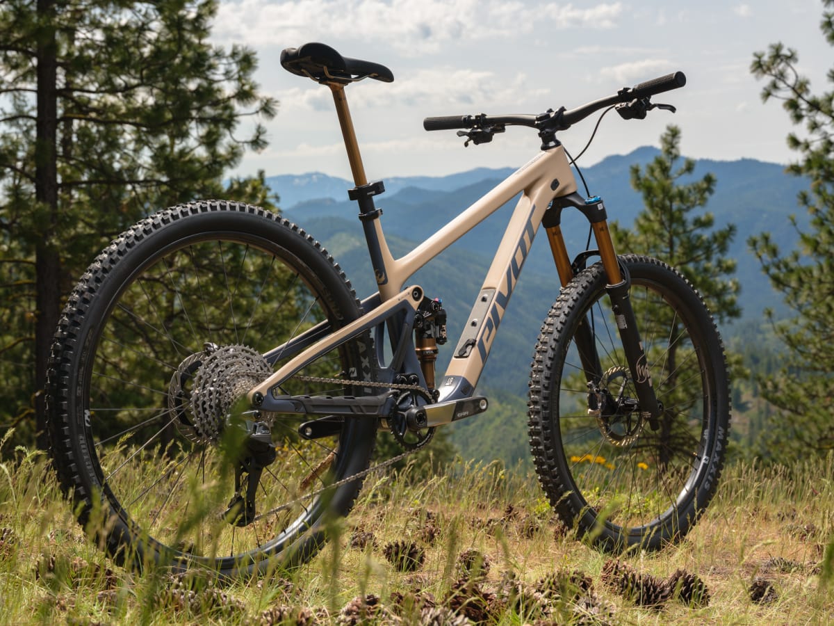 Pivot Trailcat LT Pro X0 Eagle Transmission