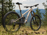 Pivot Trailcat LT Pro X0 Eagle Transmission