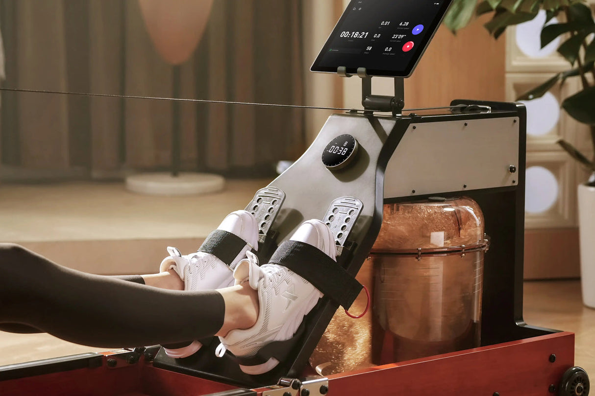KingSmith WalkingPad WM10 Rowing Trainer