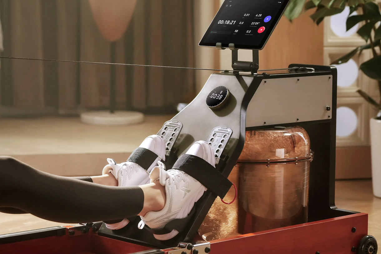 KingSmith WalkingPad WM10 Rowing Trainer