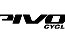 Pivot Cycles