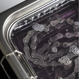 Dynamic Super Sonic Ultrasonic Cleaner