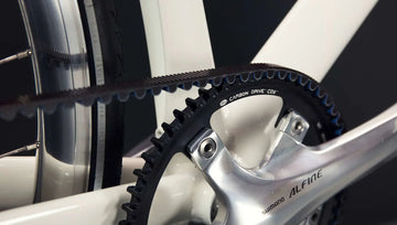 Schindelhauer Ludwig VIII/XI - Simple Bike Store