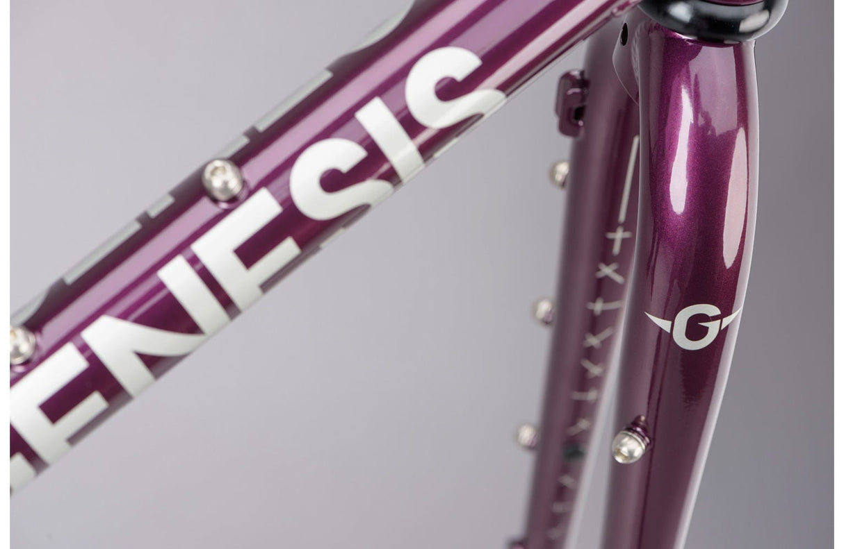 Genesis Croix De Fer 725 Frame 2021 - Simple Bike Store