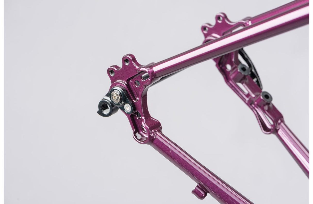 Genesis Croix De Fer 725 Frame 2021 - Simple Bike Store