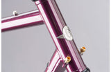 Genesis Croix De Fer 725 Frame 2021 - Simple Bike Store