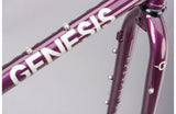 Genesis Croix De Fer 725 Frame 2021 - Simple Bike Store