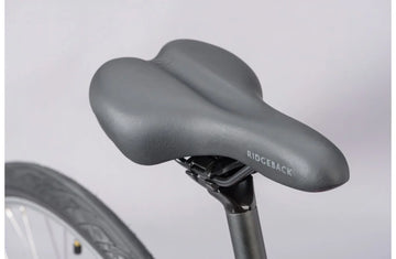 Ridgeback Comet - Simple Bike Store