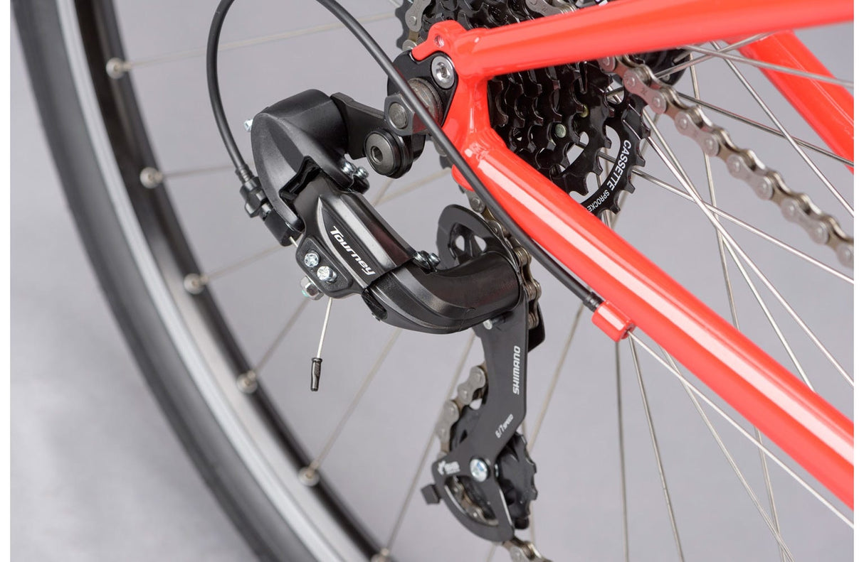Ridgeback Motion - Simple Bike Store
