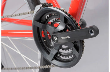Ridgeback Motion - Simple Bike Store