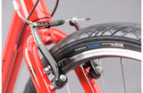 Ridgeback Motion - Simple Bike Store