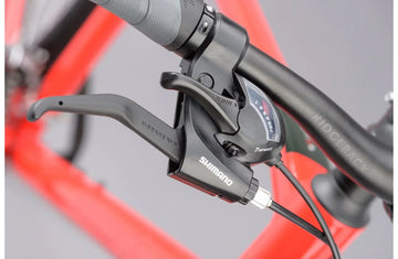 Ridgeback Motion - Simple Bike Store