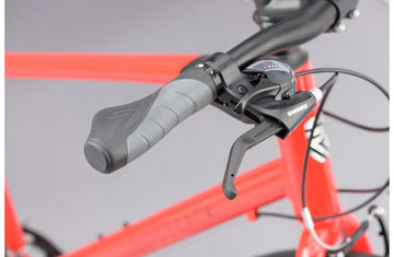 Ridgeback Motion - Simple Bike Store
