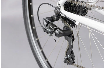 Ridgeback Motion ST - Simple Bike Store