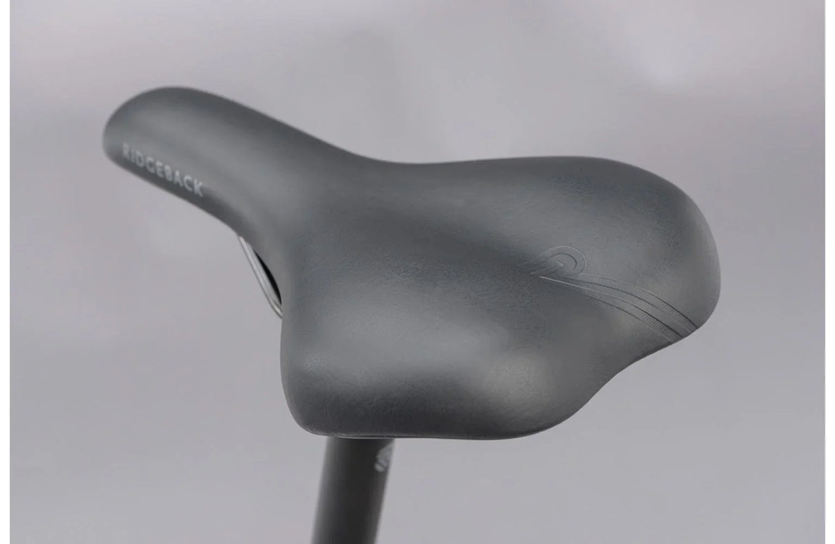 Ridgeback Motion ST - Simple Bike Store