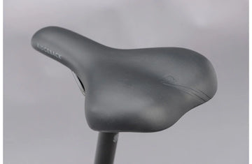 Ridgeback Motion ST - Simple Bike Store