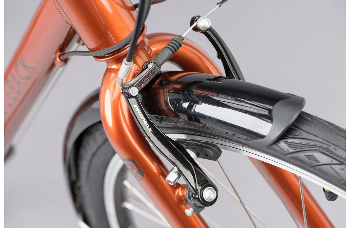 Ridgeback Speed - Simple Bike Store