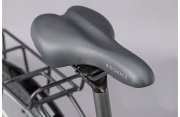 Ridgeback Speed - Simple Bike Store