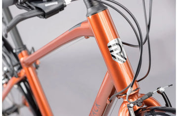 Ridgeback Speed - Simple Bike Store
