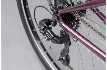 Ridgeback Speed ST - Simple Bike Store