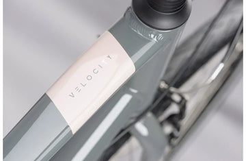 Ridgeback Velocity - Simple Bike Store