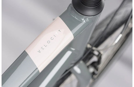 Ridgeback Velocity - Simple Bike Store