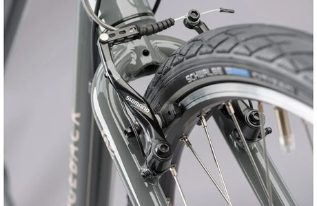 Ridgeback Velocity - Simple Bike Store