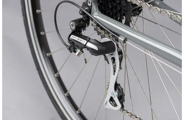 Ridgeback Velocity - Simple Bike Store