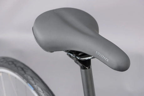 Ridgeback Velocity ST - Simple Bike Store