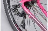 Ridgeback Terrain 2 ST - Simple Bike Store