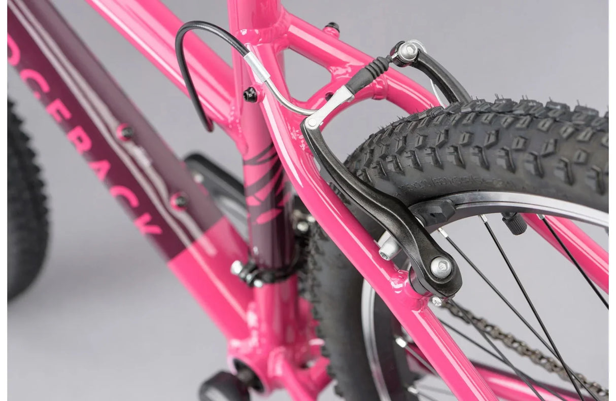 Ridgeback Terrain 2 ST - Simple Bike Store
