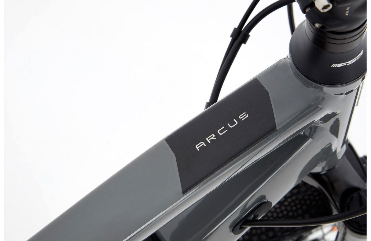 Ridgeback Arcus 1 - Simple Bike Store