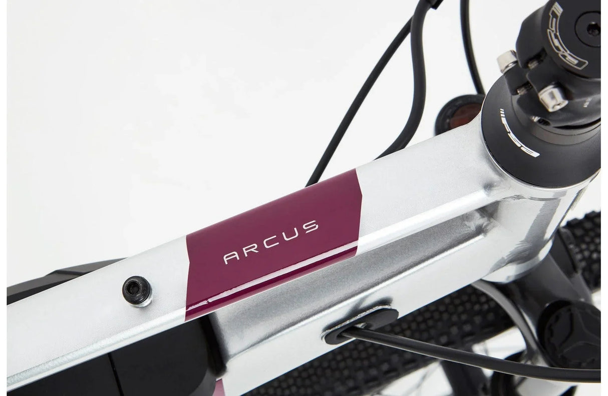 Ridgeback Arcus 1 Open Frame - Simple Bike Store
