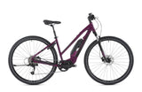 Ridgeback X2 Open Frame - Simple Bike Store