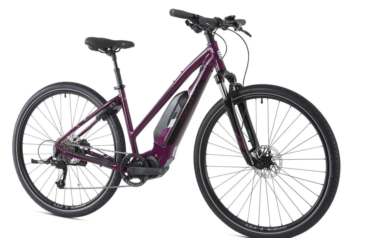 Ridgeback X2 Open Frame - Simple Bike Store