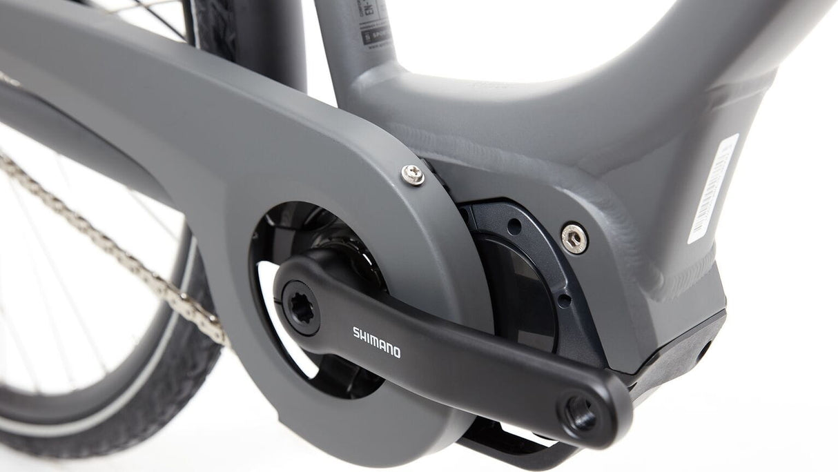 Ridgeback Electron S2